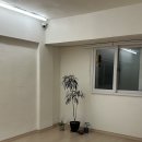 요가 D반 | 요린이의 요가 3개월 후기 및 마포구 요가원 추천 (feat. 오붓 할인 코드)