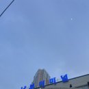 부촌 | 광장시장 부촌육회 찐맛집 후기