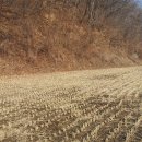 천산공인중개사사무소 이미지