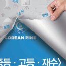 우리코리안학원