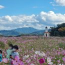 무궁화집 이미지