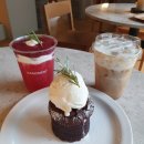 삼기카센타 | 압구정 아지트 하고 싶은 신상 카페 베이직먼트 (CAFE BASICMENT)