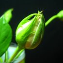 김종섭농장 이미지