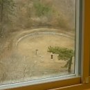 거제-거제-거제-비상-11 이미지