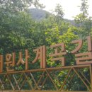 대원사계곡 이미지