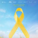 당신의 이미지