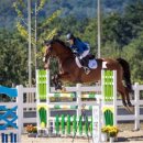 정남진축산 이미지