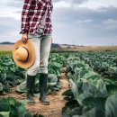 운용농장 이미지