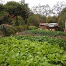 호숫가보금자리 이미지