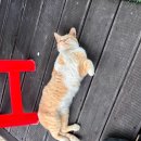 십이령농원 이미지