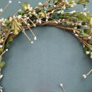 선한동물약국 이미지