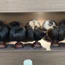 [모모란 위그 강남압구정점] 자연스러움의 끝판왕! 강남 압구정 &#39;모모란 위그&#39; 방문 후기