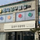 중마동물병원 이미지