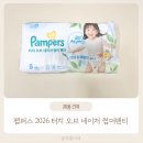 ㈜대박 | 팸퍼스 2026 터치 오브 네이처 썸머팬티 여름 기저귀 추천/솔직 후기