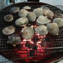 안다미로펜션 이미지