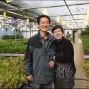 원예농장 이미지