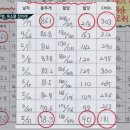 버드나무한의원 이미지