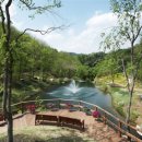 바우가든 이미지