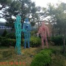 김경민 행정사 사무소 이미지