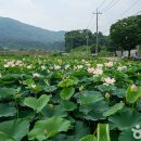 실용적인 타일냄비받침대 만들기 | 포천 울미연꽃마을 | 대자연과 정이 머무는 연꽃향 가득한 힐링 여행지