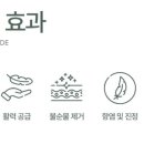 플란타
