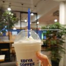 코코치노 이미지