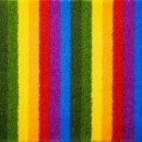 피터펫 미사점 이미지