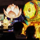 부처님 오신 날엔 왜 연등을 달까, 한국일보 이미지