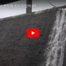 세천유원지 티스토리