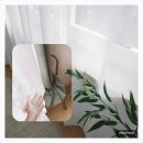 강남구 커튼 블라인드 추천~ 강남구 대치동 다올 빌딩 붙임 머리 샵 매장 커튼 가림막 커튼 설치 후기
