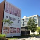 디자인오리엔티드 이미지