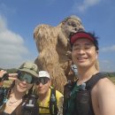 (주)호남메디칼 | 도이인타논 doi inthanon 100k by UTMB 후기