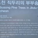 정만석 선생 묘 이미지