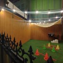 진서동물병원 이미지