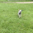 그루밍나인 이미지