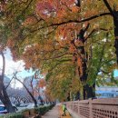 진해여자고등학교 이미지