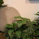 믿음공부방 | 공부방·독서실 의자에 딱 맞는 좌판쿠션 추천 (내돈내산)