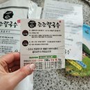조조칼국수 밀키트 내돈내산 후기 :: 초간단 여행 음식으로 추천