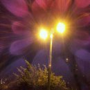 행복1번지공인중개사사무소 이미지