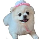 몽꾸꾸 이미지