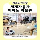 제주특별자치도서귀포시장애인부모회 | 제주 세계 자동차&amp;피아노 박물관 | 30개월 아이와 서귀포 가볼 만한 곳 방문 후기 (소소한 꿀팁)