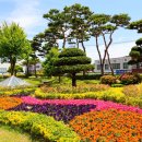 보성군청 이미지