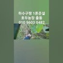 자명농장 Daum카페