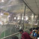 장암자원 이미지