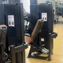 데시앙휘트니스 이미지