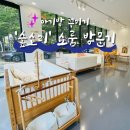 숲의 소리 | 2025 숲소리 판교 쇼룸 후기