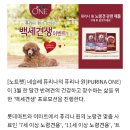 백세견생 이미지