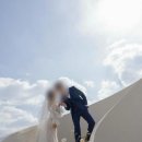 플라워비니 이미지