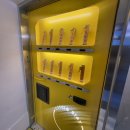 스마일하우스 | 부산역 근처숙소 "써클스테이" 후기 부산 핫플 여행