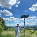 상궁농장 | 빈 여행 #2 벨베데레궁전 상궁 클림트 키스 / 그린칭 포도농장 와인 / 립스오브비엔나 / 프라터 놀이...